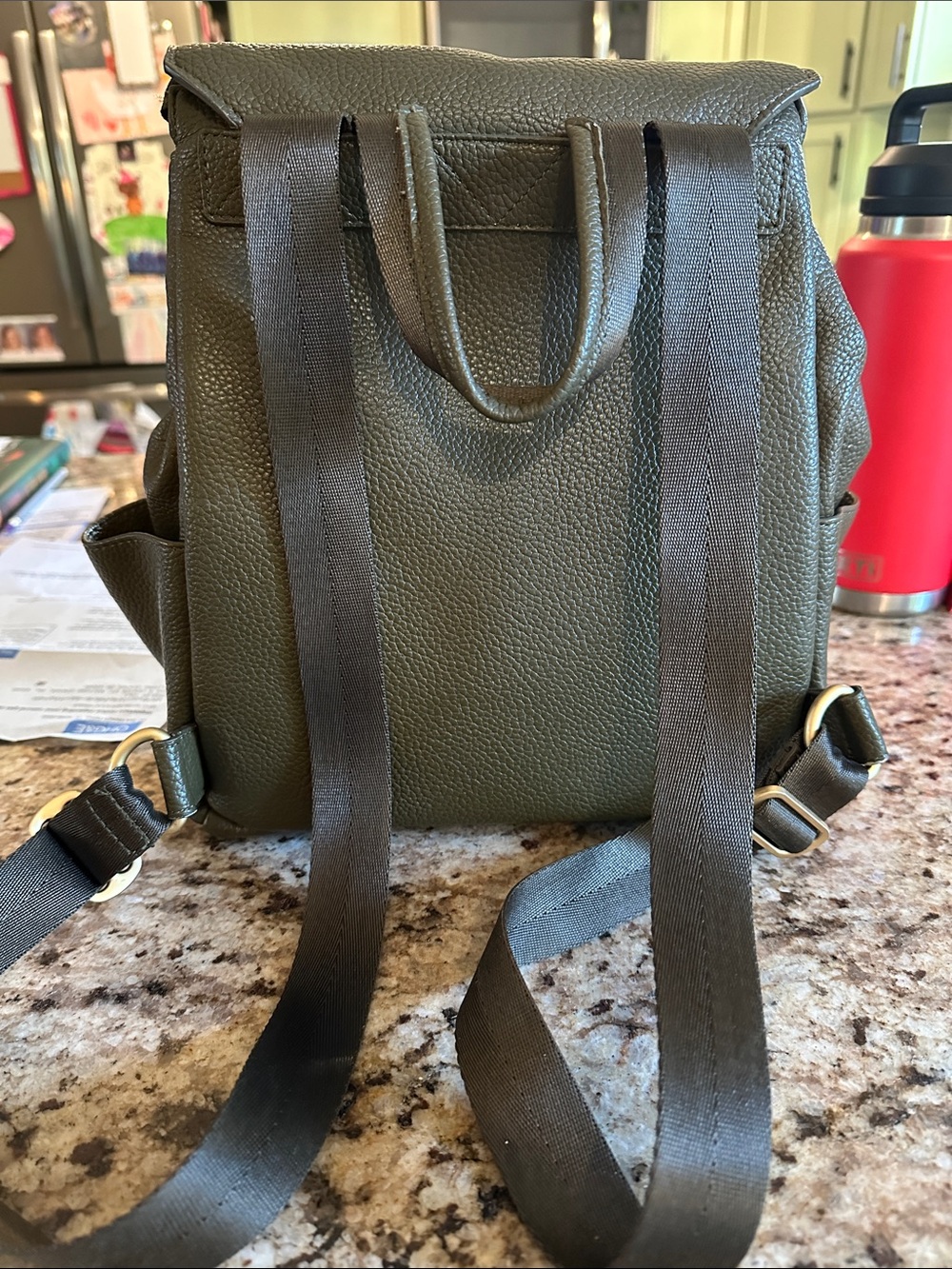 Freshly Picked Olive Pebbled Mini Backpack with Gold Hardware - Picture 2 of 8